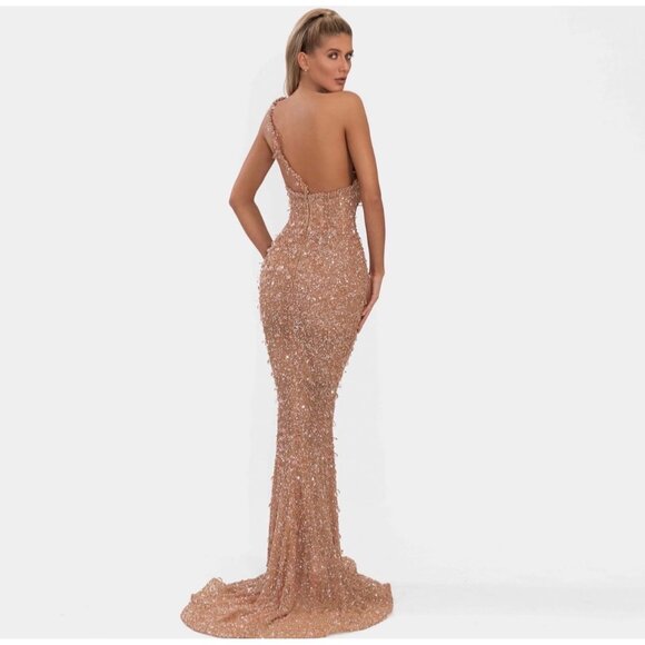 Albina Dyla Nude Dress Size 4/6 Retails $1,580 - Picture 2 of 5